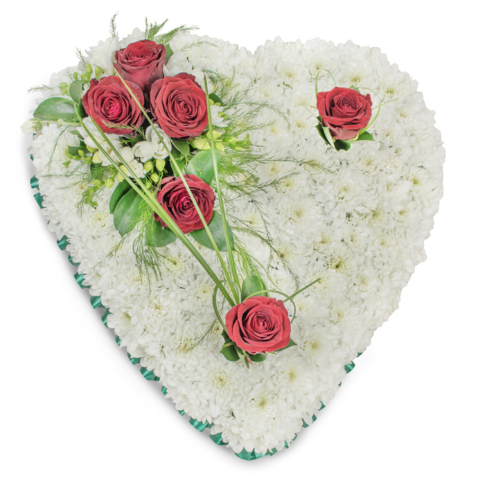 Set on a simple white background, this heart-shaped sympathy piece is a study in contrast and restraint: a full, densely packed bed of tiny white chrysanthemums forms the whole heart, their rounded heads creating a plush, tactile surface that reads as calm and pure. At the upper left a focused cluster of three deep red roses creates the arrangement's principal emotional note, nestled among broad, glossy foliage and fine, fern-like fronds that add an airy texture; from that cluster elegant arcs of bright green bear grass reach outward like calligraphic strokes. Two solitary roses are carefully positioned to complete the composition-one near the right-hand curve and another at the pointed bottom-each ringed with minimal greens so the crimson remains the quiet messenger of love and respect. The heart is edged with a slim emerald-green satin ribbon, a clean, formal border that defines the silhouette and provides a verdant visual anchor against the white field. Overhead illumination is soft but clear, throwing subtle shadows that reveal the sculptural depth of the chrysanthemum pad and the layered petals of each rose. The overall mood is one of dignified remembrance: the cool whiteness suggests purity and peace, while the red roses impart warmth, reverence, and sorrow. This traditional funeral wreath is the sort of piece commonly requested for services in Elmers End and nearby parish halls, where families seek a composed, sympathetic tribute that speaks of enduring affection and measured consolation.