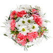 This blooming bouquet embodies the cheerful renewal of an Elmers End spring, thoughtfully gathered to mirror the area's sense of community and celebration. Central white daisies glow with sunlit purity while coral-pink carnations, their petals ruffled and plush, add a warm, affectionate pop reminiscent of garden blooms near Birkbeck Green. Wispy trails of baby's breath sparkle through the arrangement, lending gentle fullness and a whisper of delicate sweetness. Eucalyptus leaves and deeper green foliage provide a restful, matte backdrop, framing the flowers with poise and subtle contrast. Nestled amid the display, slender alstroemeria buds, brush-marked with touches of purple and pink, offer a hint of anticipation and gentle mystery. The design radiates a friendly optimism, perfectly suited for new home gifts, thank yous, or as a pick-me-up for someone along Elmers End Road. With its round, inviting shape and meticulously balanced palette, this bouquet captures not only the freshness of local floristry but also the joyful heart of Elmers End-crafted to brighten every cherished day.