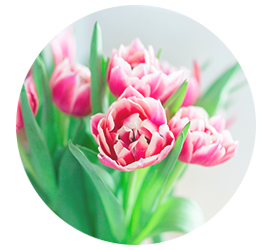 Same day Flowers Elmers End 